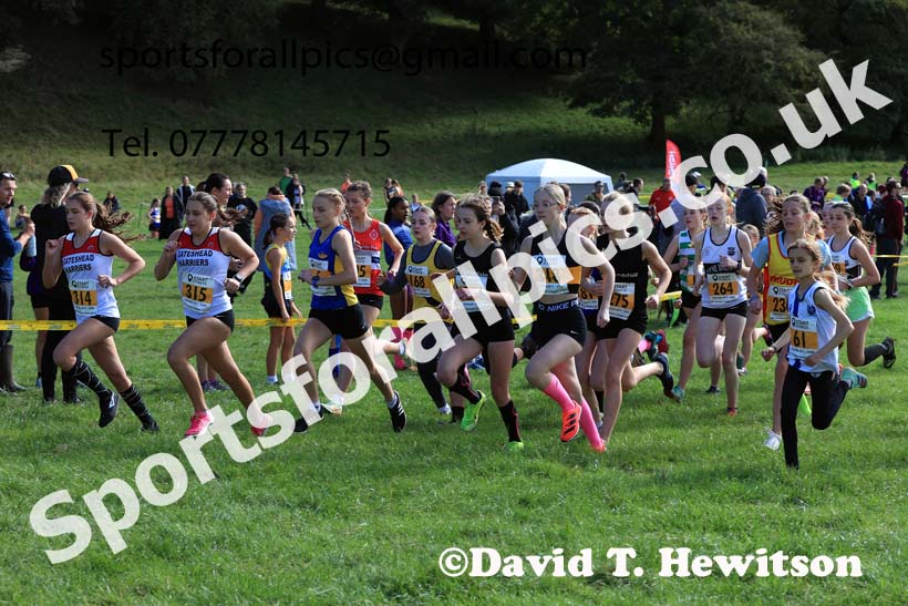 Girls under-13s 2024 Start Fitness NEHL, Thornley Hall Farm, Peterlee, Saturday, September 28th.   Photo: David T. Hewitson/Sports for All Pics